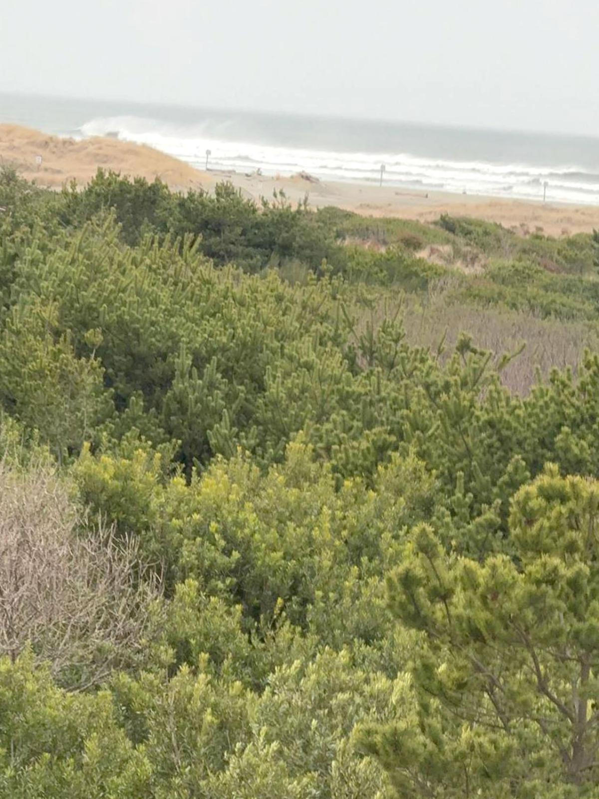 Coratel Inn And Suites By Jasper Ocean Shores Eksteriør bilde